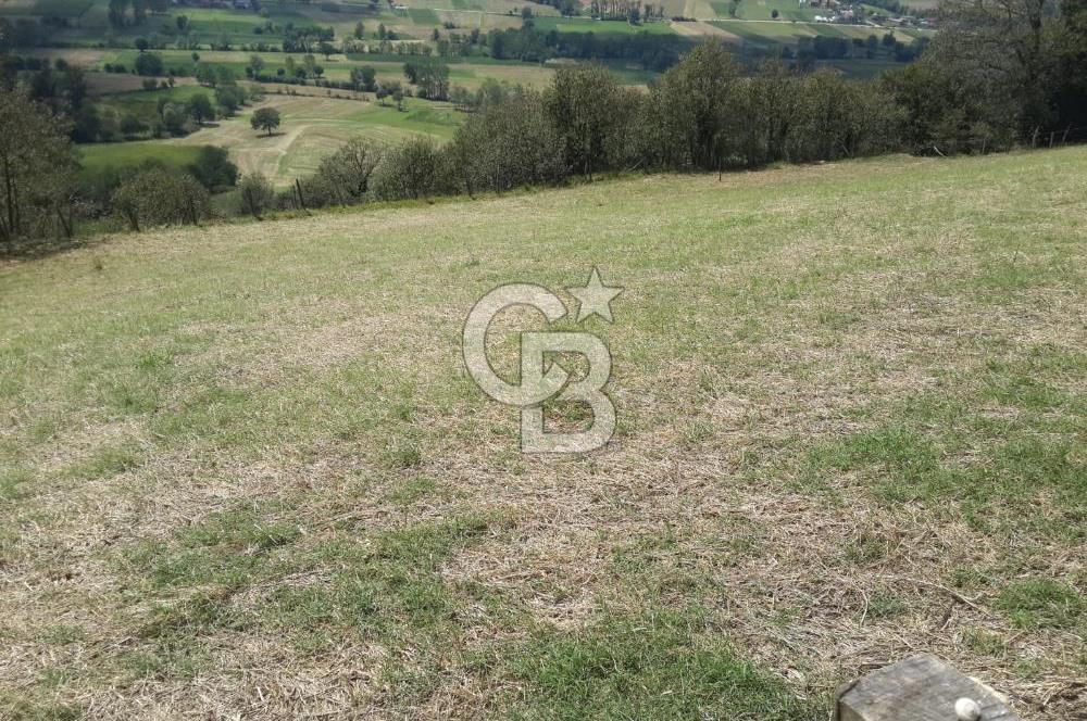 KOCAELİ KANDIRA ALEFLİ KÖYÜ 4317 M2 SATILIK TARLA