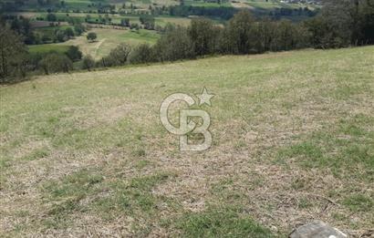 KOCAELİ KANDIRA ALEFLİ KÖYÜ 4317 M2 SATILIK TARLA