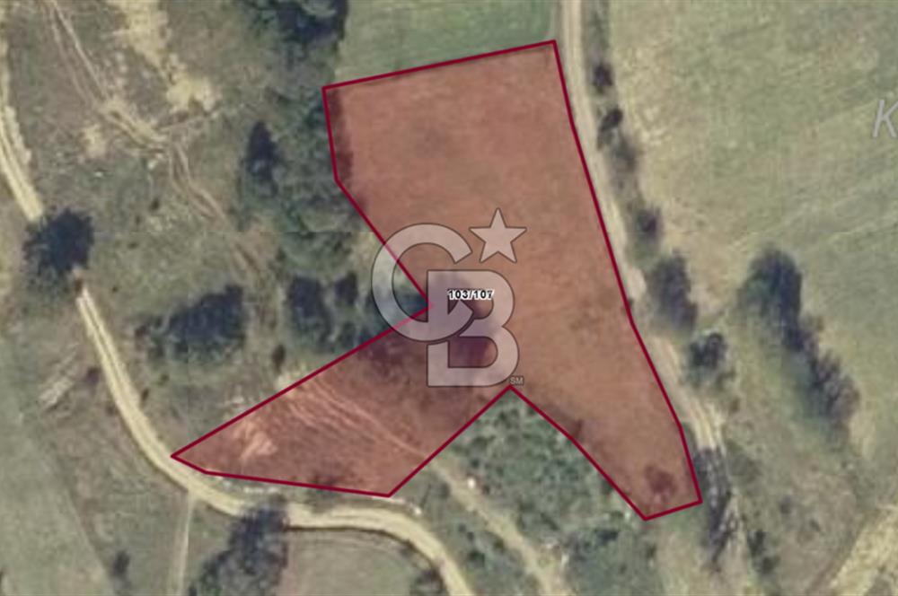 KOCAELİ KANDIRA ALEFLİ KÖYÜ 4317 M2 SATILIK TARLA