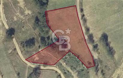 KOCAELİ KANDIRA ALEFLİ KÖYÜ 4317 M2 SATILIK TARLA