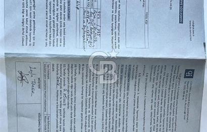 MANİSA SARUHANLI HACIMUSADA 1518 M2 ARSA VE 1281 M2 ZEYTİNLİK