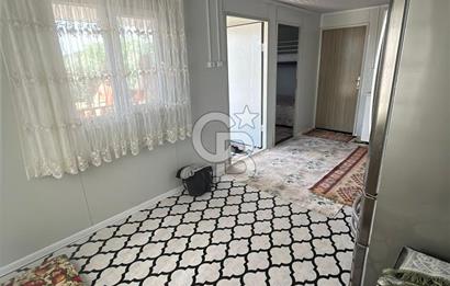 MANİSA SARUHANLI HACIMUSADA 1518 M2 ARSA VE 1281 M2 ZEYTİNLİK
