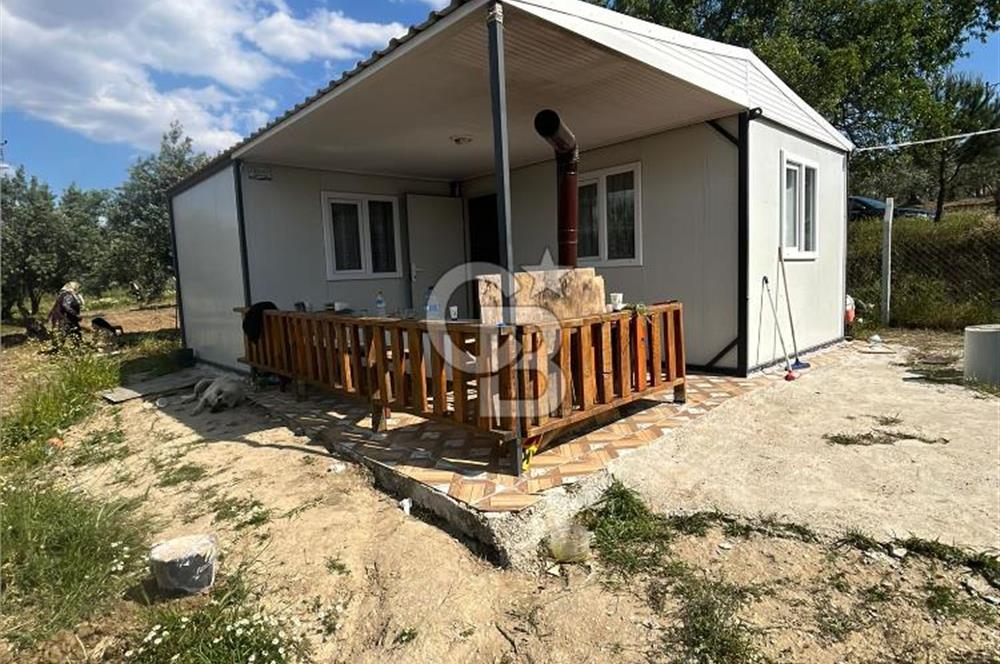 MANİSA SARUHANLI HACIMUSADA 1518 M2 ARSA VE 1281 M2 ZEYTİNLİK