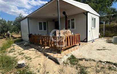 MANİSA SARUHANLI HACIMUSADA 1518 M2 ARSA VE 1281 M2 ZEYTİNLİK
