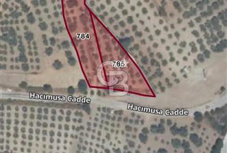 MANİSA SARUHANLI HACIMUSADA 1518 M2 ARSA VE 1281 M2 ZEYTİNLİK