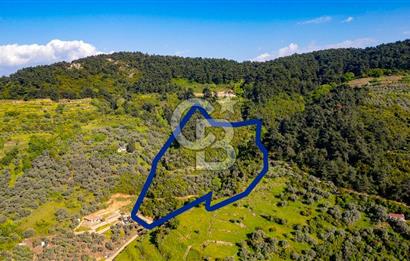 Şirince'ye 500 M Mesafede 9658 m2 Yapı İzinli Satılık Tarla