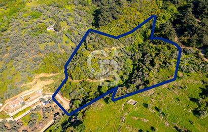 Şirince'ye 500 M Mesafede 9658 m2 Yapı İzinli Satılık Tarla