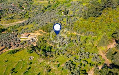 Şirince'ye 500 M Mesafede 9658 m2 Yapı İzinli Satılık Tarla