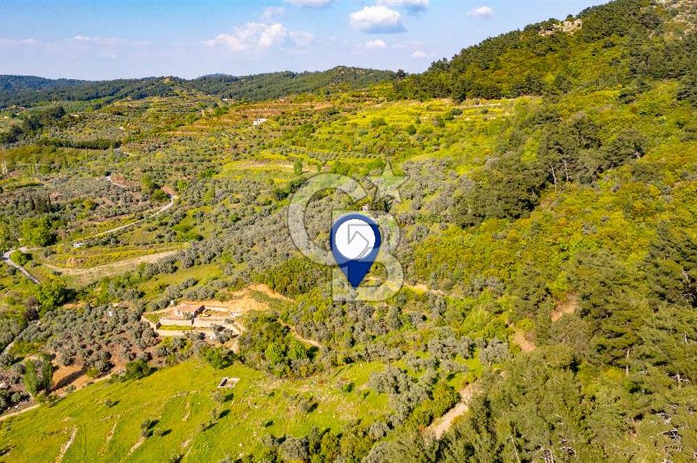 Şirince'ye 500 M Mesafede 9658 m2 Yapı İzinli Satılık Tarla
