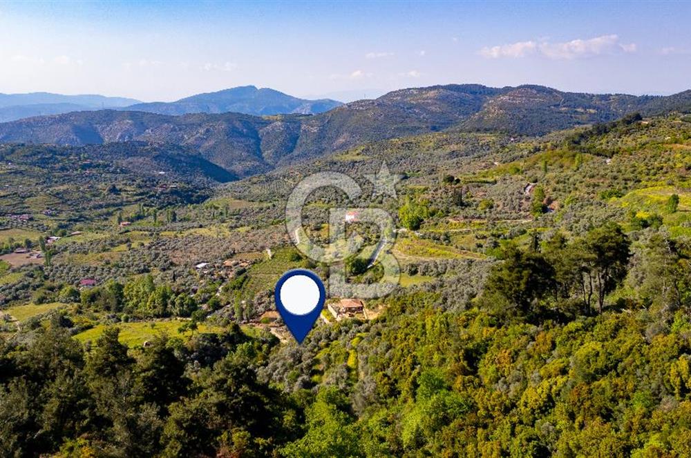 Şirince'ye 500 M Mesafede 9658 m2 Yapı İzinli Satılık Tarla