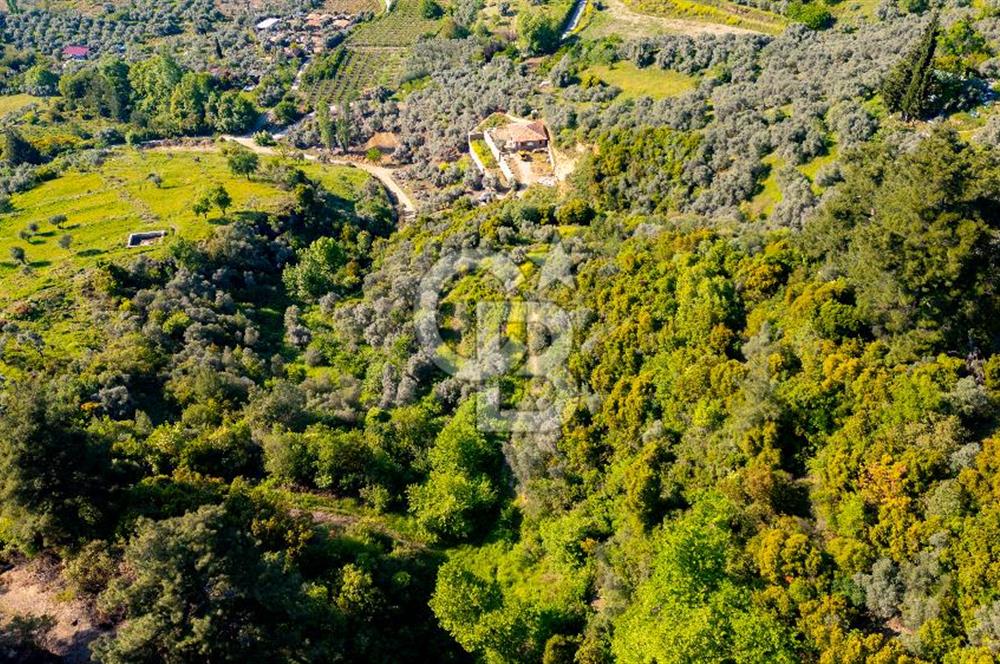 Şirince'ye 500 M Mesafede 9658 m2 Yapı İzinli Satılık Tarla