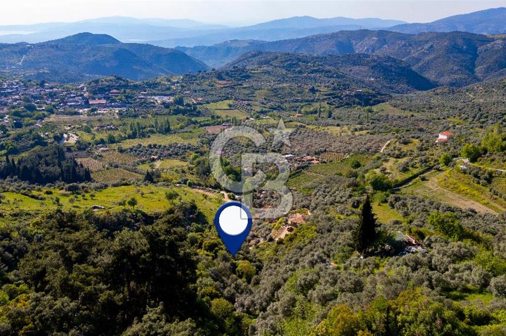 Şirince'ye 500 M Mesafede 9658 m2 Yapı İzinli Satılık Tarla