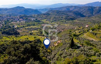 Şirince'ye 500 M Mesafede 9658 m2 Yapı İzinli Satılık Tarla