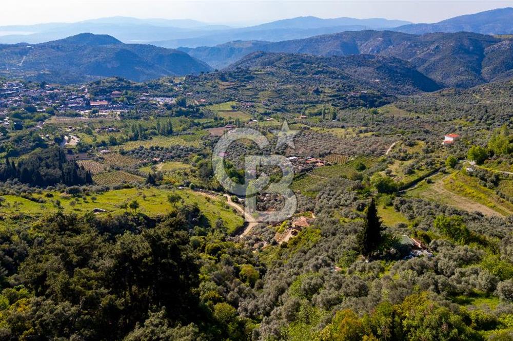 Şirince'ye 500 M Mesafede 9658 m2 Yapı İzinli Satılık Tarla