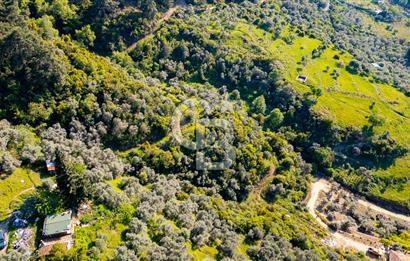 Şirince'ye 500 M Mesafede 9658 m2 Yapı İzinli Satılık Tarla