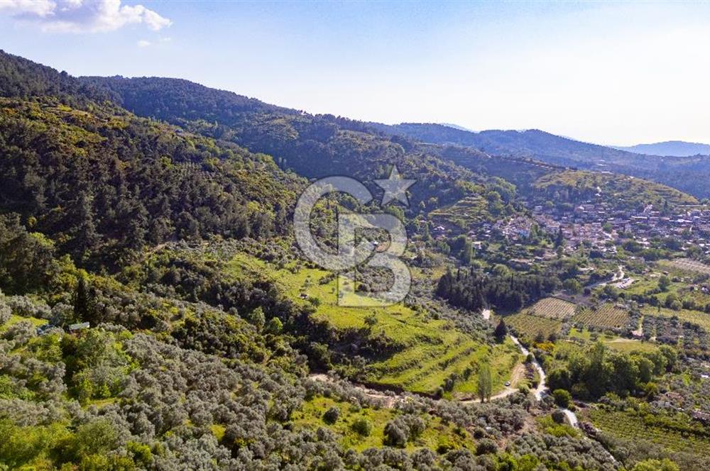 Şirince'ye 500 M Mesafede 9658 m2 Yapı İzinli Satılık Tarla