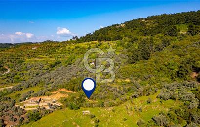 Şirince'ye 500 M Mesafede 9658 m2 Yapı İzinli Satılık Tarla