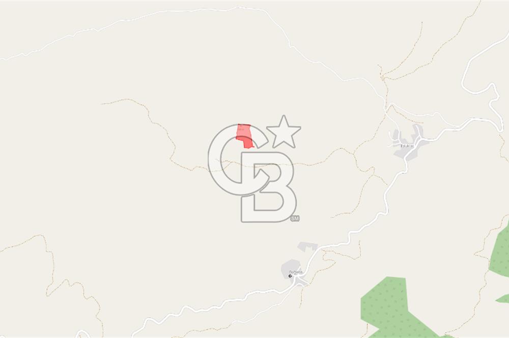 16.800 M2 SATILIK TARLA BAYRAMİÇ TOLUKLAR'DA YATIRIM FIRSATI