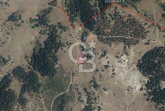 Yatırım Fırsatı! Balıkesir Sındırgı'da Satılık 1785m2 Arsa