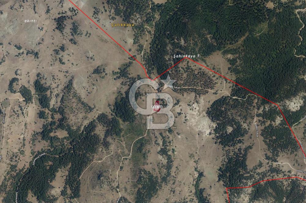 Yatırım Fırsatı! Balıkesir Sındırgı'da Satılık 1785m2 Arsa