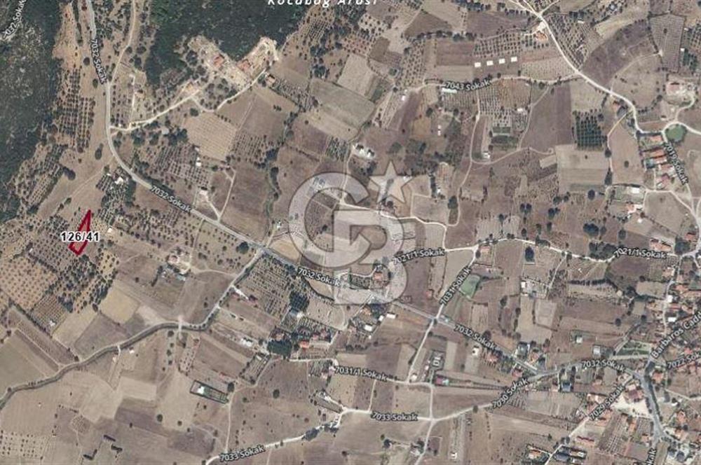 Urla Barbaros Köyünde Satılık 1384m2 Tarla