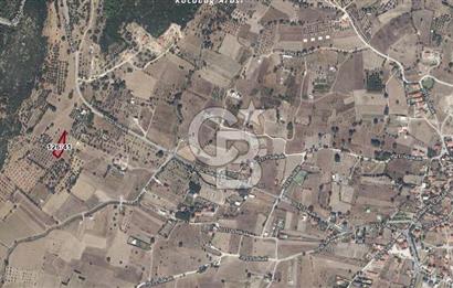 Urla Barbaros Köyünde Satılık 1384m2 Tarla