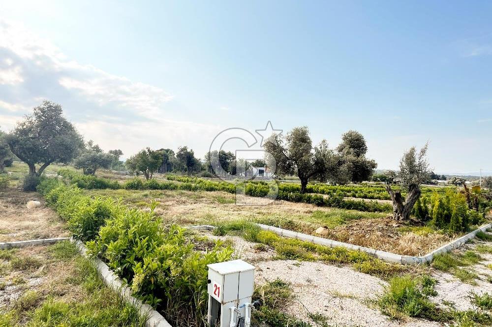 Urla Rüstem'de Site Konseptli Satılık Tarla