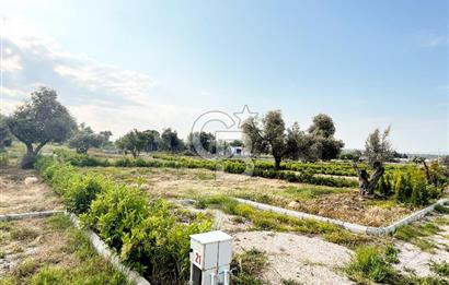 Urla Rüstem'de Site Konseptli Satılık Tarla