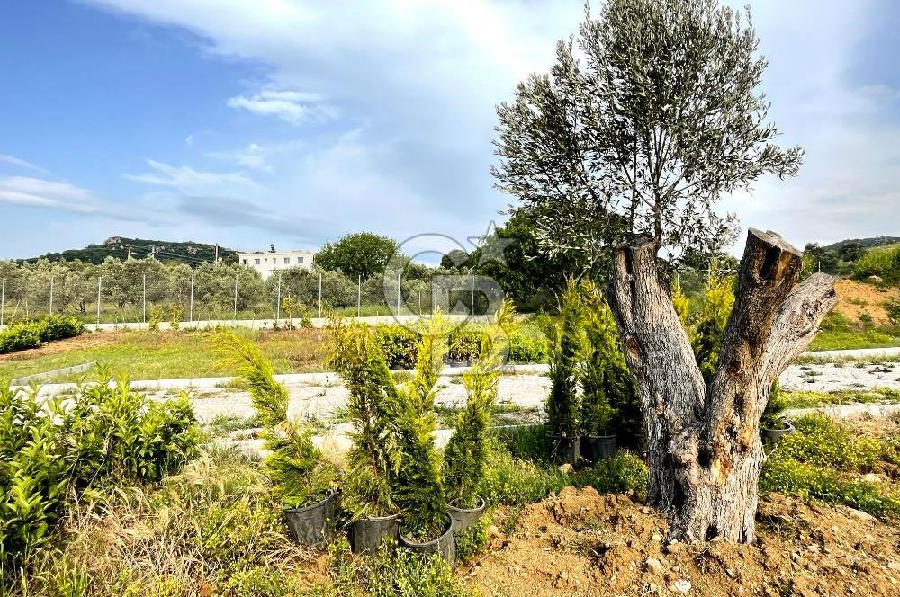Urla Rüstem'de Site Konseptli Satılık Tarla