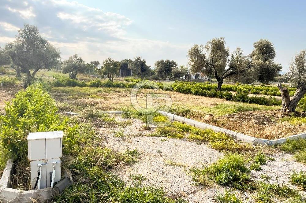 Urla Rüstem'de Site Konseptli Satılık Tarla
