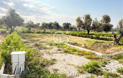Urla Rüstem'de Site Konseptli Satılık Tarla