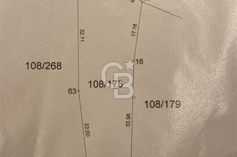 Bayındır Çenikler'de Satılık Müstakil Tapulu Zeytinlik