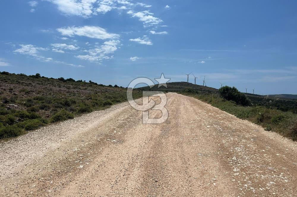 Urla Zeytineli'de Yeni Çeşme Projesi Yakınında Satılık Tarla