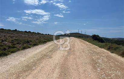 Urla Zeytineli'de Yeni Çeşme Projesi Yakınında Satılık Tarla