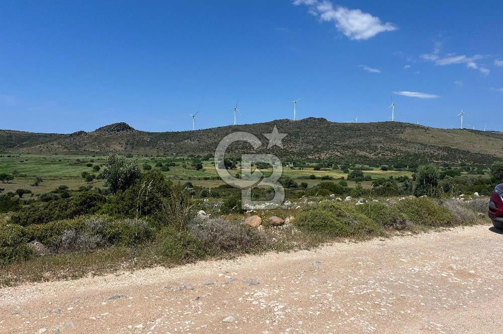 Urla Zeytineli'de Yeni Çeşme Projesi Yakınında Satılık Tarla