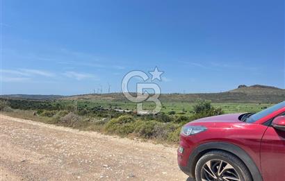 Urla Zeytineli'de Yeni Çeşme Projesi Yakınında Satılık Tarla