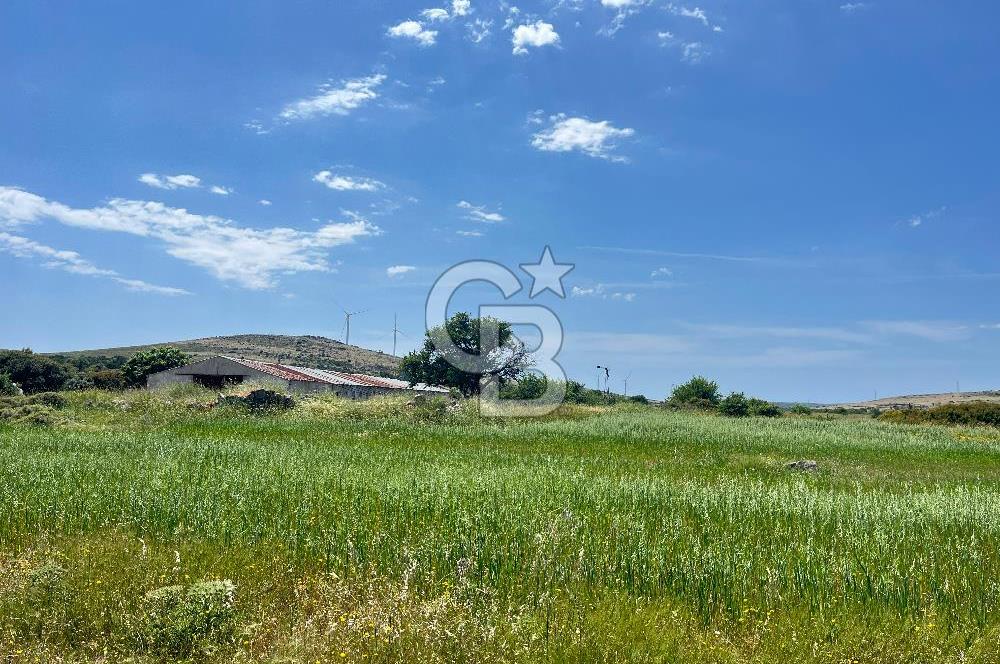 Urla Zeytineli'de Yeni Çeşme Projesi Yakınında Satılık Tarla