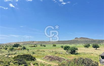 Urla Zeytineli'de Yeni Çeşme Projesi Yakınında Satılık Tarla