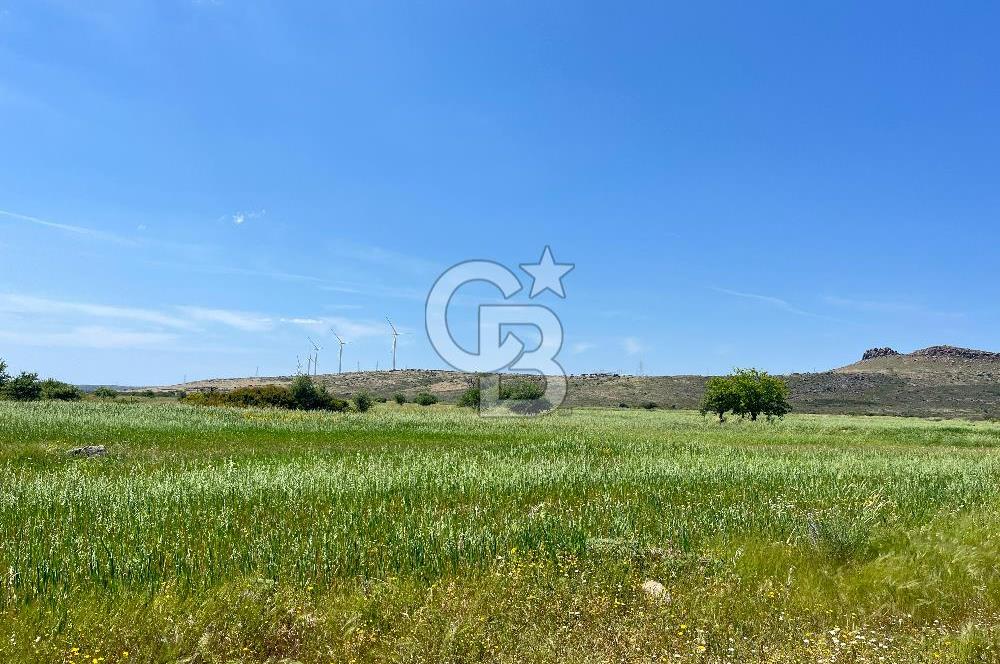 Urla Zeytineli'de Yeni Çeşme Projesi Yakınında Satılık Tarla