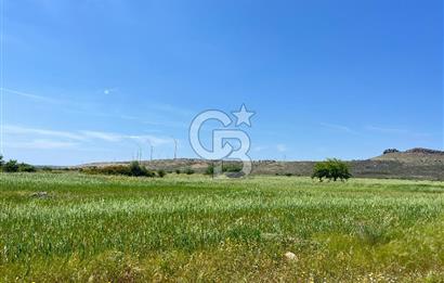 Urla Zeytineli'de Yeni Çeşme Projesi Yakınında Satılık Tarla
