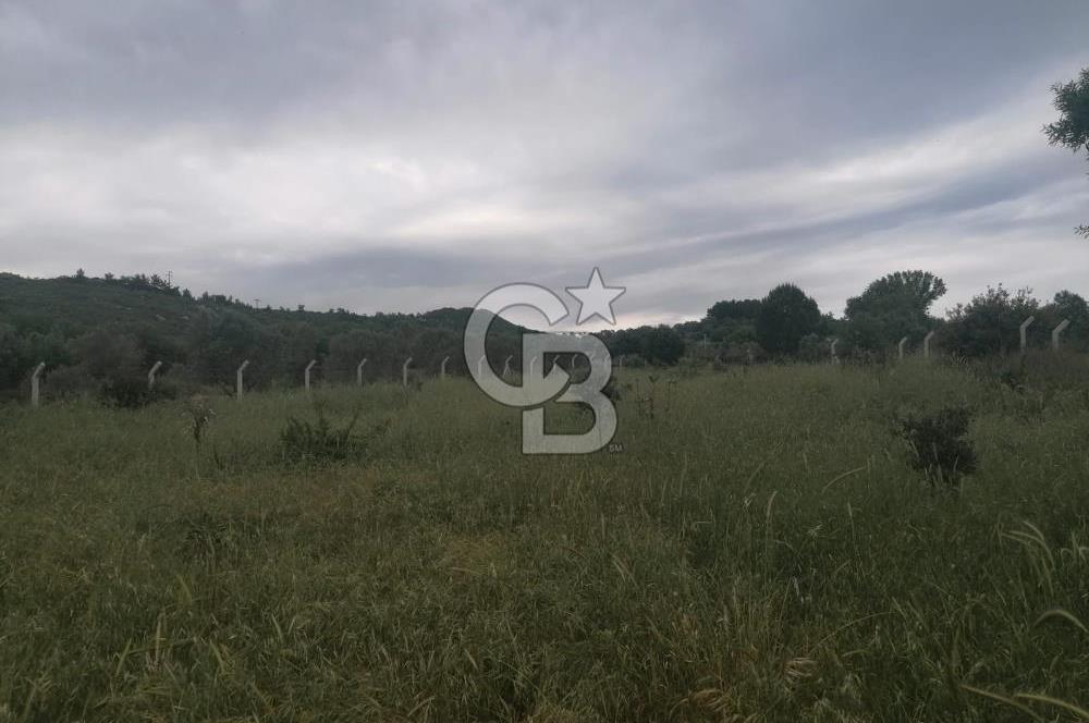 Urla Barbaros Köyünde Satılık 1384m2 Tarla