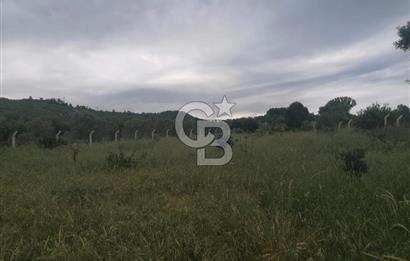 Urla Barbaros Köyünde Satılık 1384m2 Tarla