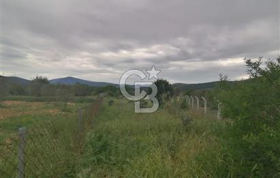Urla Barbaros Köyünde Satılık 1384m2 Tarla