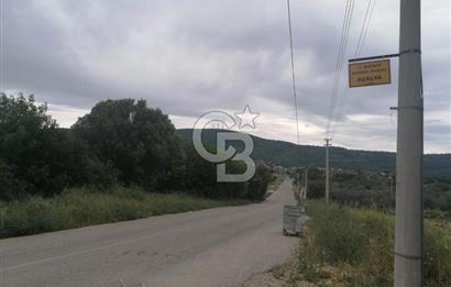 Urla Barbaros Köyünde Satılık 1384m2 Tarla