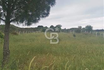 Urla Barbaros Köyünde Satılık 1384m2 Tarla