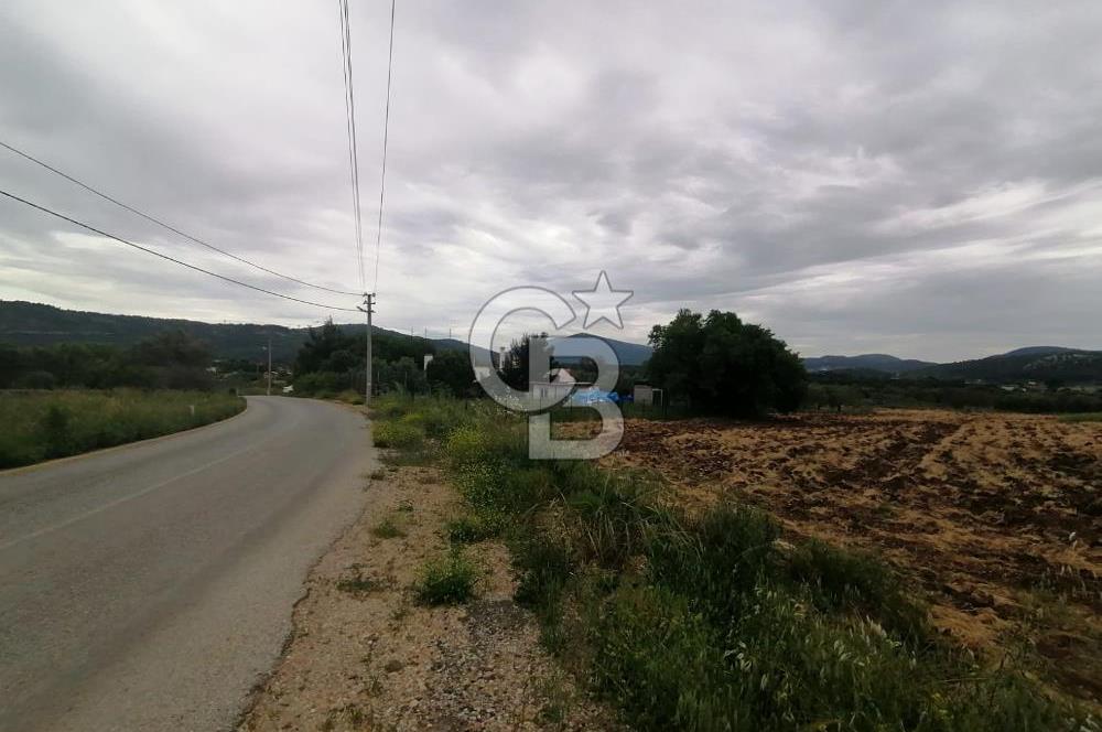 Urla Barbaros Köyünde Satılık 1384m2 Tarla