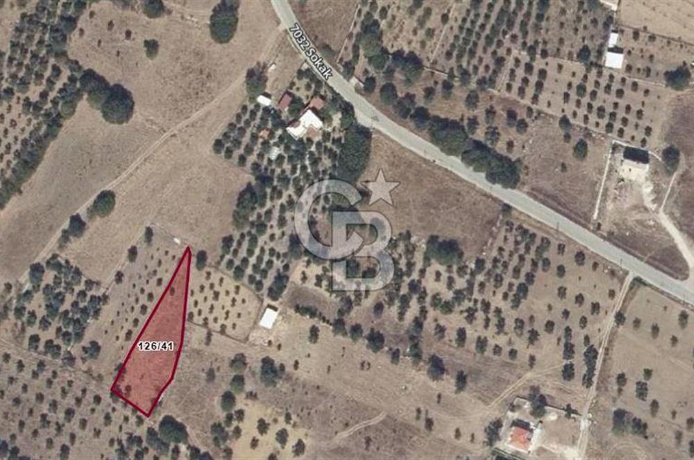 Urla Barbaros Köyünde Satılık 1384m2 Tarla