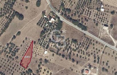 Urla Barbaros Köyünde Satılık 1384m2 Tarla