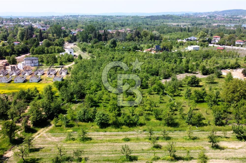 CB AKADEMİ MAŞUKİYE SATILIK 2200 m2 VİLLA İMARLI KÖŞE ARSA