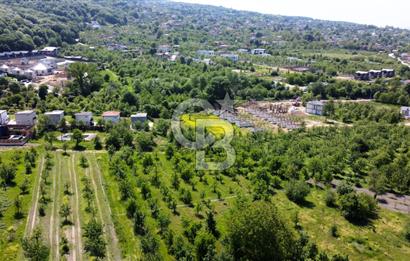 CB AKADEMİ MAŞUKİYE SATILIK 2200 m2 VİLLA İMARLI KÖŞE ARSA